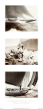 Buy America's Cup at AllPosters.com