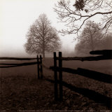 Fence in the Mist