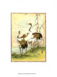 Oriental Cranes I