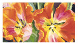 Buy Two Parrot Tulips at AllPosters.com