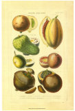 Buy Fruits and Nuts I at AllPosters.com