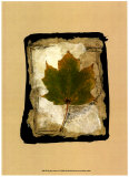 Kyoto Leaves V