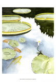 Buy Koi Reflection I at AllPosters.com