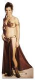Princess Leia Star Wars Movie Lifesize Standup Poster