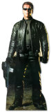 The Terminator