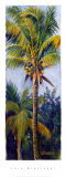 Buy Coconut Palm at AllPosters.com
