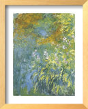 Buy Yellow Iris at AllPosters.com