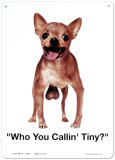 Who You Callin Tiny
