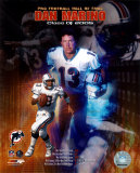 Dan Marino - Hall of Fame Composite