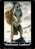 Buy Helloo Ladies at AllPosters.com