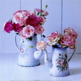 Pot's and Roses