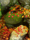 Buy Zen Garden at AllPosters.com
