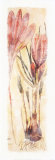Crocus Sativus Art Print