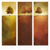 Trees Dreaming
