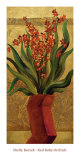 Buy Red Baby Orchids at AllPosters.com