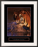 Excellence - Bengal Tiger Framed Art Print