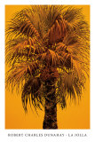 Buy La Jolla at AllPosters.com