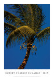 Buy Erin at AllPosters.com