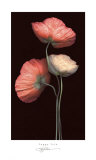 Poppy Trio