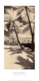 Buy Palm Shadows II at AllPosters.com