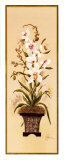 Buy Orchid II at AllPosters.com