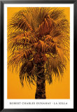 Buy La Jolla at AllPosters.com