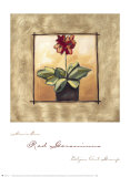 Buy Red Geraniums at AllPosters.com