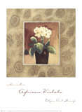 Buy African Violets at AllPosters.com