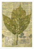 Buy Harvest III at AllPosters.com