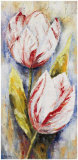 Buy White tulips at AllPosters.com
