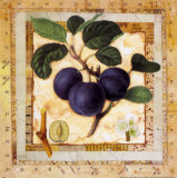 Buy Plum Branch at AllPosters.com