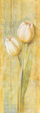 Buy Quiet Flowers II at AllPosters.com