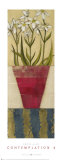 Buy Contemplation IV at AllPosters.com