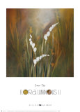 Buy Flora Luminous II at AllPosters.com
