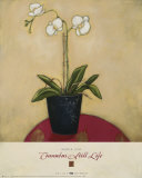 Buy Cinnabar Still Life I at AllPosters.com