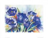 The Lovely Blue