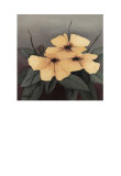Yellow Flowers I