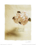 Cut Flowers I
