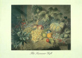 The Summer Gift