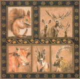 Faune des Montagnes