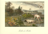 Folle et Mitte