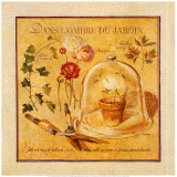 Dans l'Ombre du Jardin