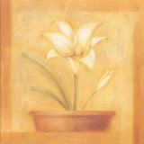 Buy Refined Flower II at AllPosters.com