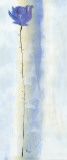 Buy Modern in Style III at AllPosters.com
