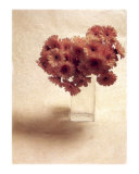 Cut Flowers IV