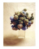 Cut Flowers III