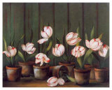 Buy Tulipes Blanches at AllPosters.com