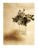 Cut Flowers II