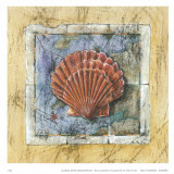 Buy Sea Shell at AllPosters.com
