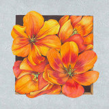 Flowers at the Window I